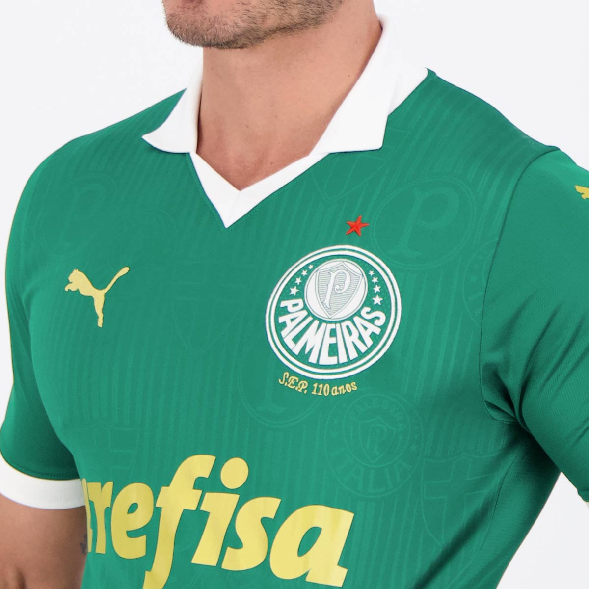 Camisa Palmeiras 2024/25 I