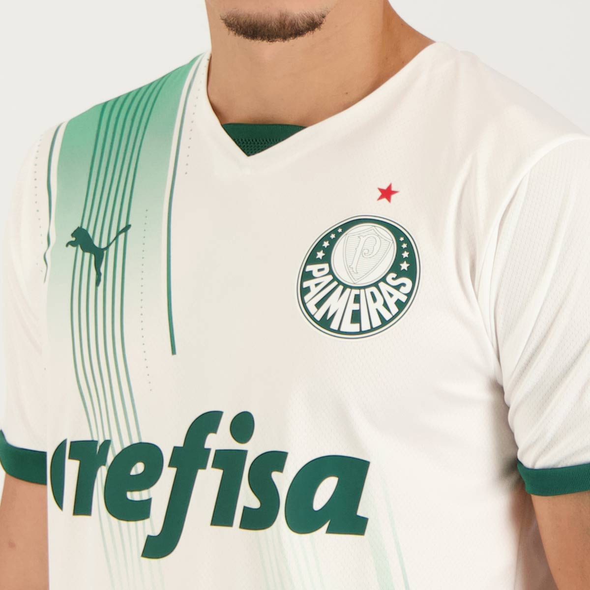 Camisa Palmeiras 2023/24 II