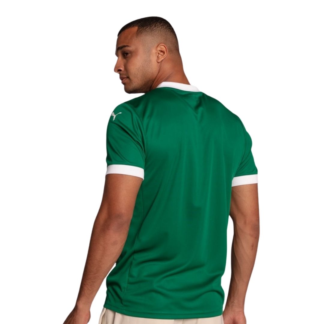 Camisa Palmeiras 2025/26 I