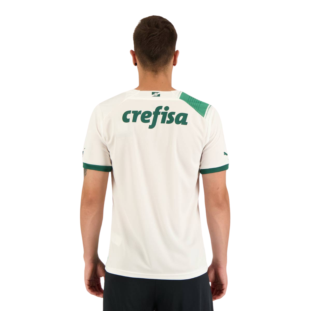 Camisa Palmeiras 2023/24 II
