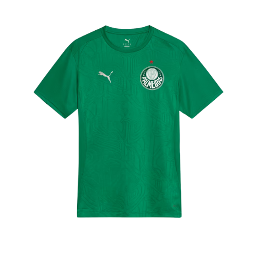 Camisa Palmeiras Treino 2025