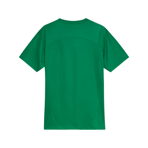 Camisa Palmeiras Treino 2025