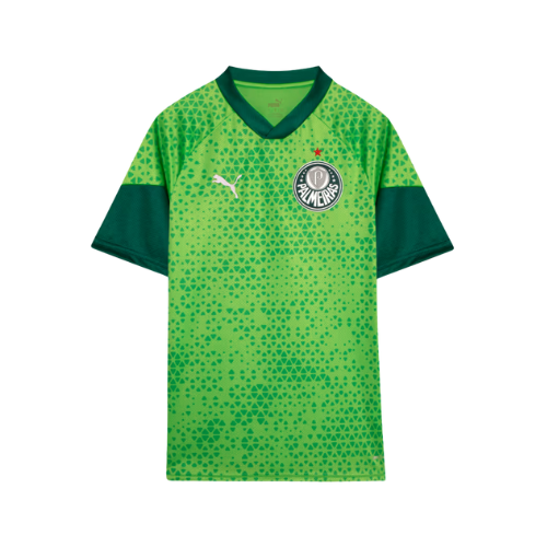 Camisa Palmeiras Treino 2024