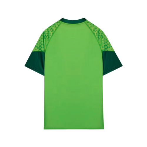 Camisa Palmeiras Treino 2024
