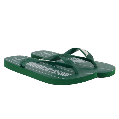 Chinelo Havaianas Palmeiras Escudo Verde