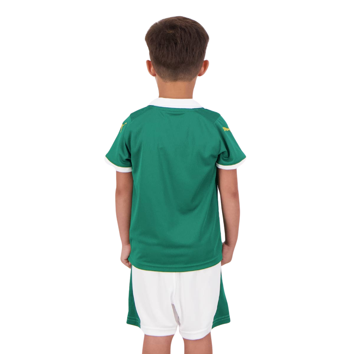 Kit Infantil Palmeiras 2024/25 I